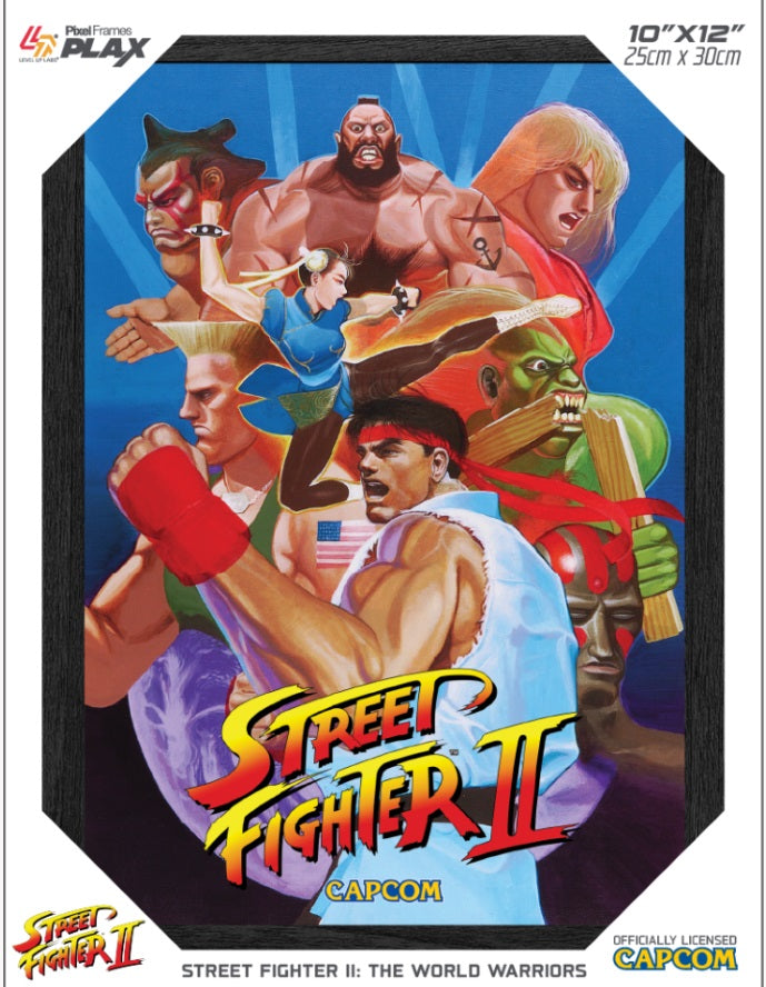 Pixel Frames PLAX SF2 World Warrior
