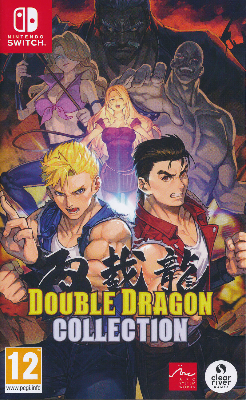 Double Dragon Collection NS