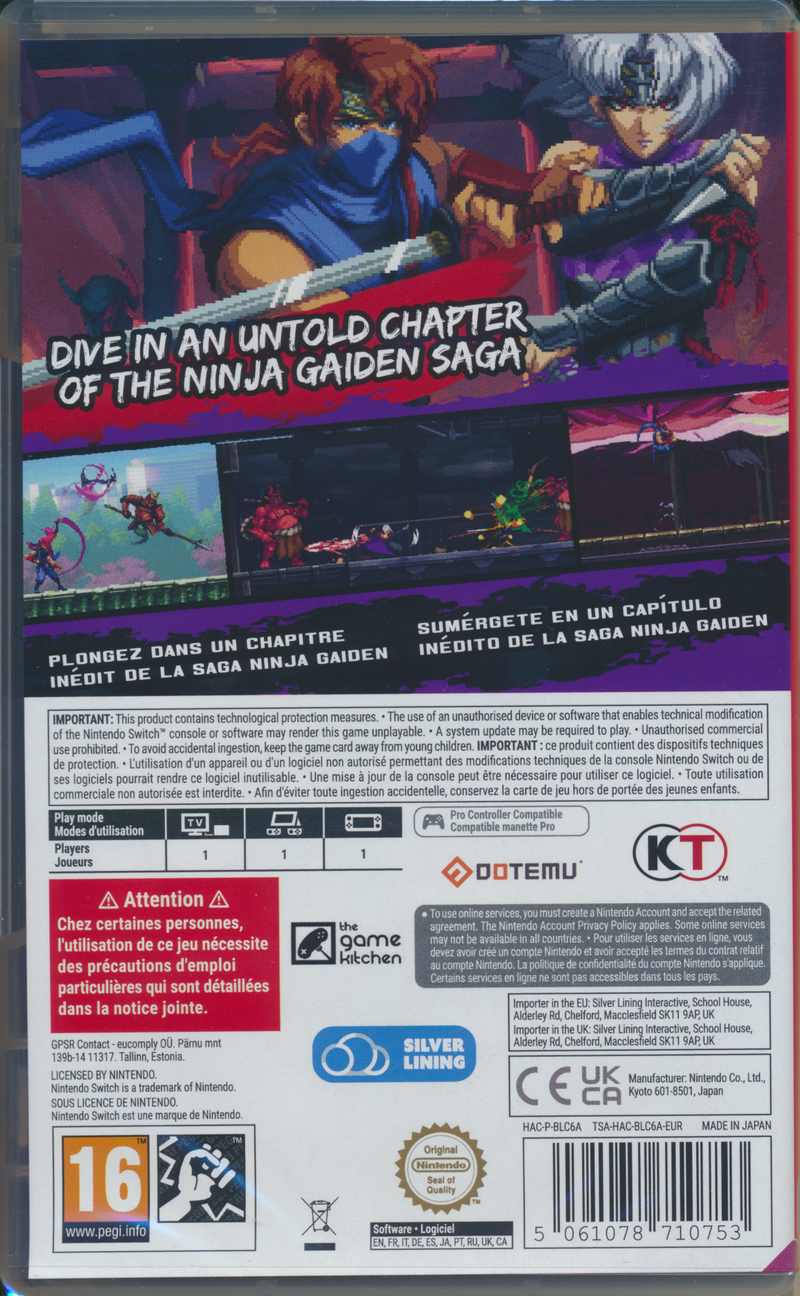Ninja Gaiden Ragebound NS