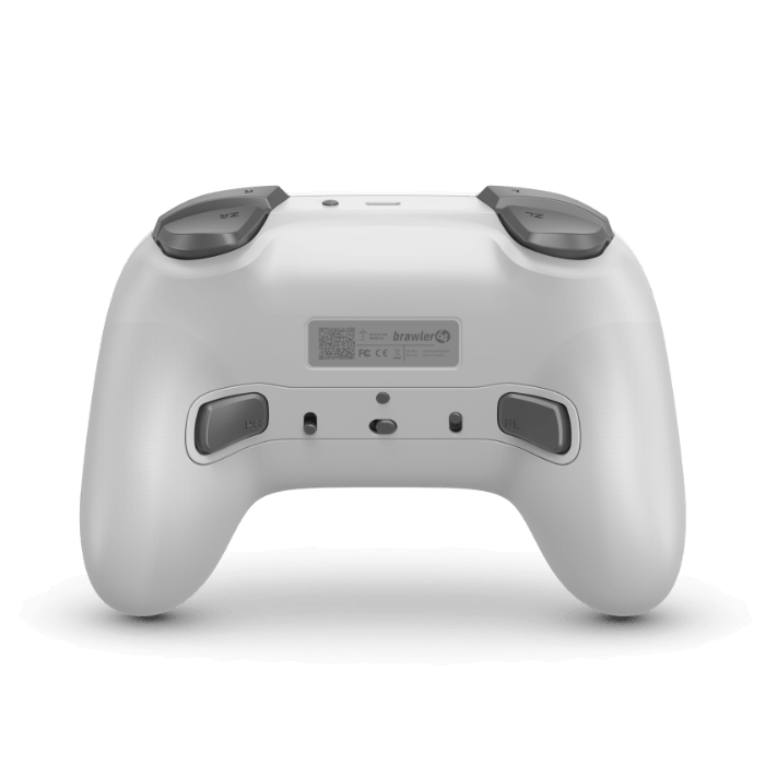 RF Brawler64 Pro 2.4G Classic Grey